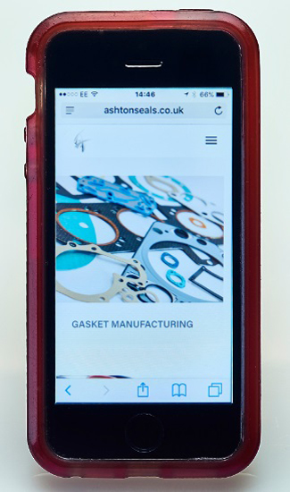 Ashton_Seals_New_Website.jpg