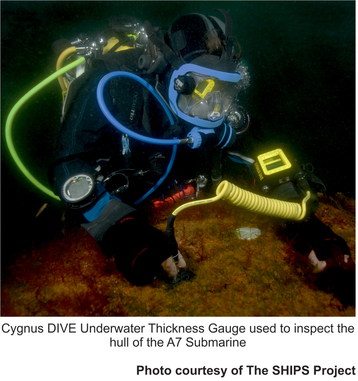 Cygnus_DIVE.jpg