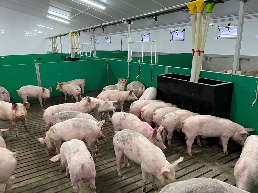 Landia_Yorkwold_Pigpro.jpg