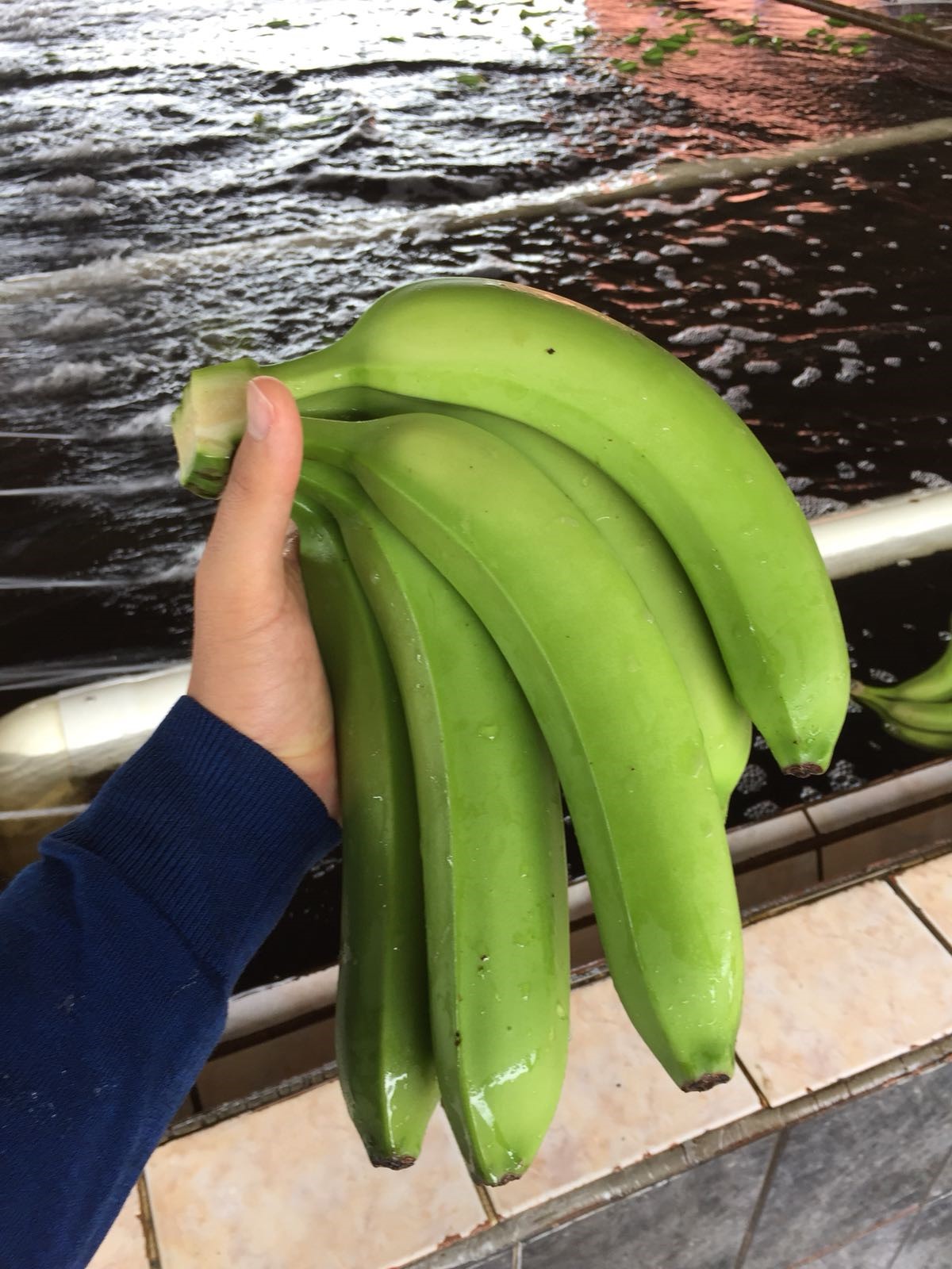 Omex_Agri_Bananas.jpg