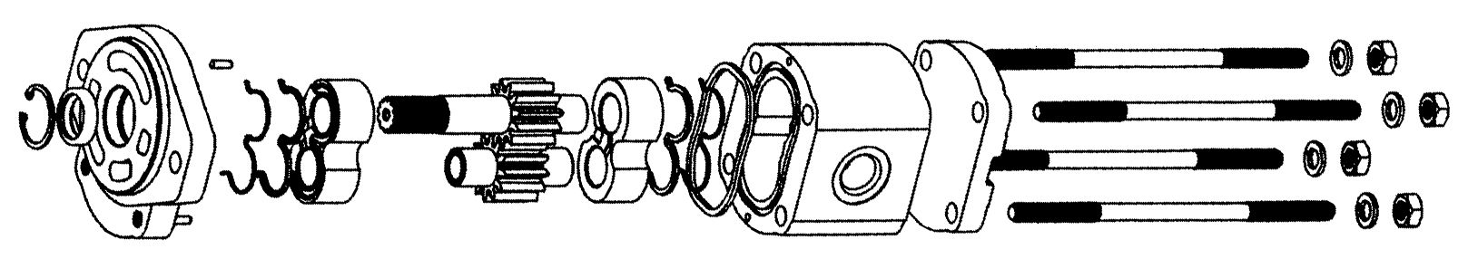 White_House_Tailor_Made_Pumps.jpg