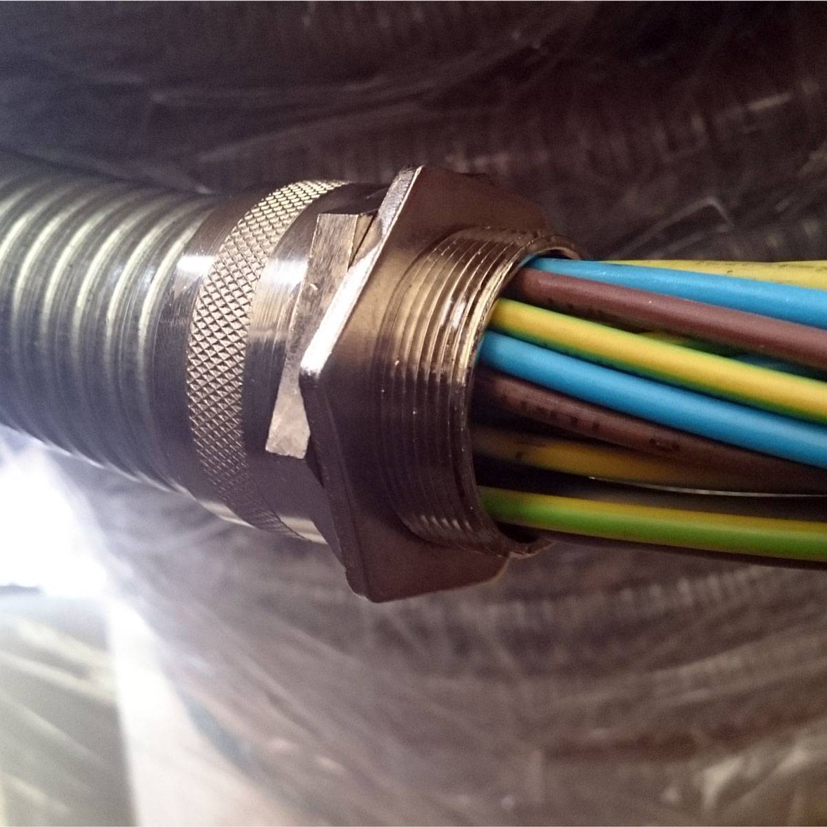 Whitehouse_Prewired_Conduit.jpg