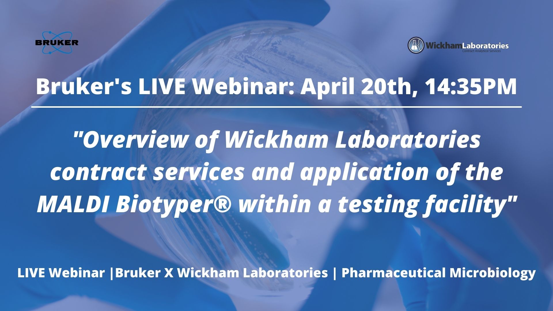 Wickham_Bruker_Webinar.jpg